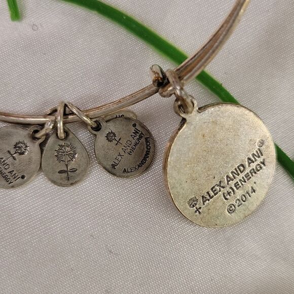 Alex and Ani. Energy Bangle. OSFA. EUC - Picture 4 of 4